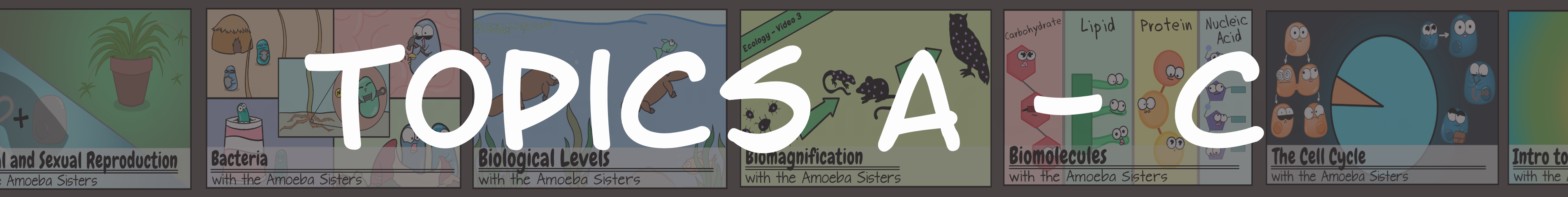 Amoeba Sisters Handouts