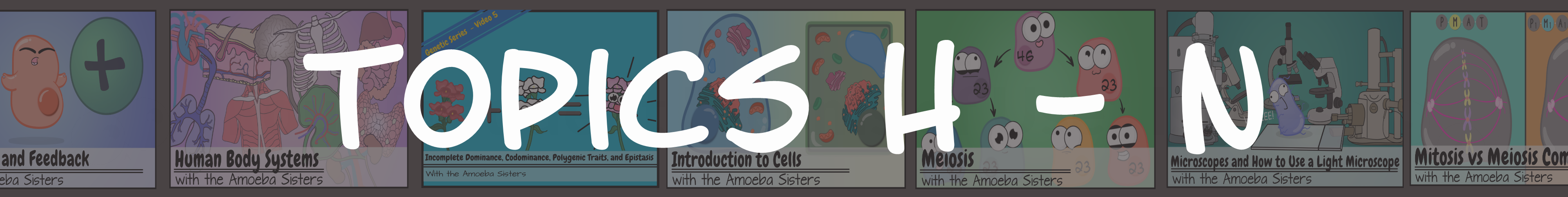 Amoeba Sisters Handouts - Science with The Amoeba Sisters
