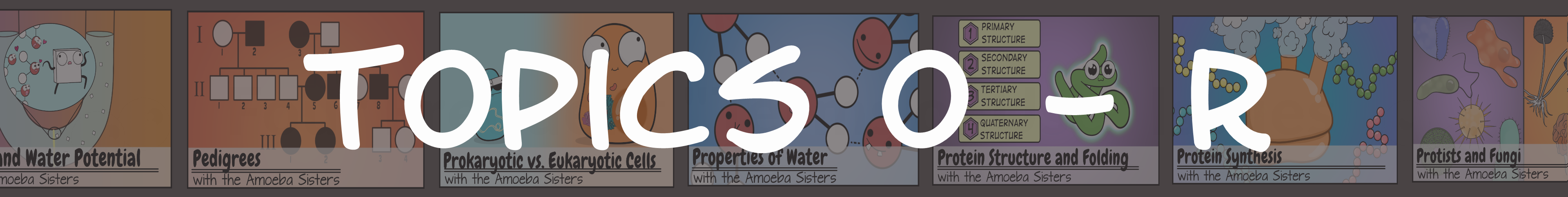 Amoeba Sisters Handouts Science With The Amoeba Sisters